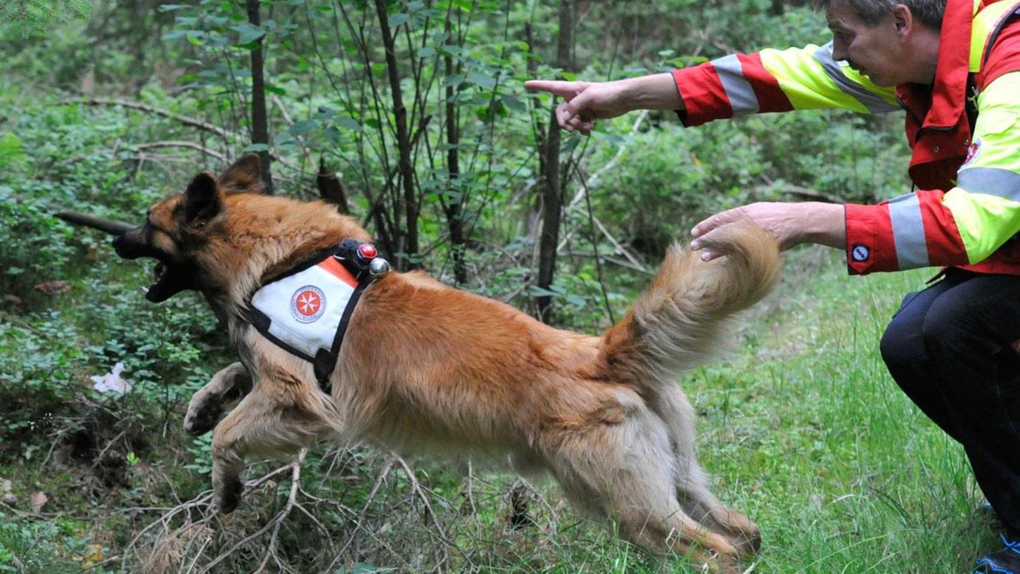Rettungshunde im Landkreis ERH geprüft