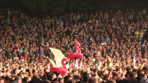 Die fünfköpfige Musikgruppe aus Chemnitz vertritt mit "Kraftklub" den Deutschrock auf dem Taubertal-Festival. Ihr Musikstil ist ein Mix aus Indie, Punkrock und Rap.