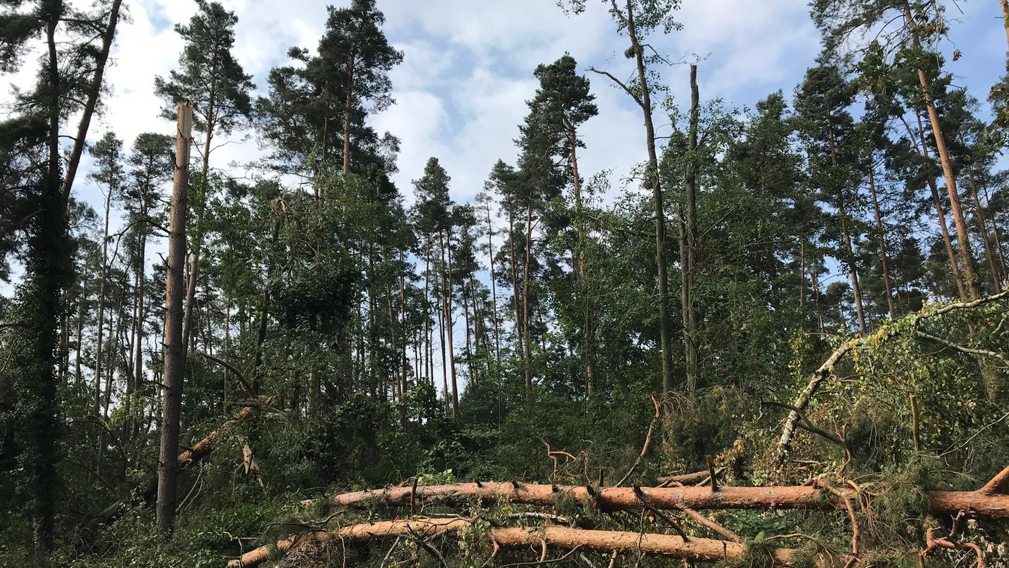 Bei dem Gewittersturm Anfang August fielen etliche Bäume wie auf unserem Bild in der Nähe von Roth um.