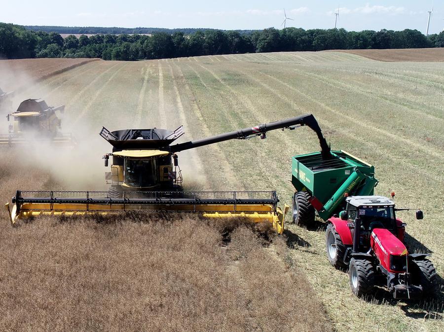 Die Landwirtschaft hingegen ächzte unter den Folgen der andauernden Sommerhitze: Während Winzer sich über einen sehr guten Jahrgang freuten, trieb viele Bauern die Sorge um ihr wirtschaftliches Überleben um.