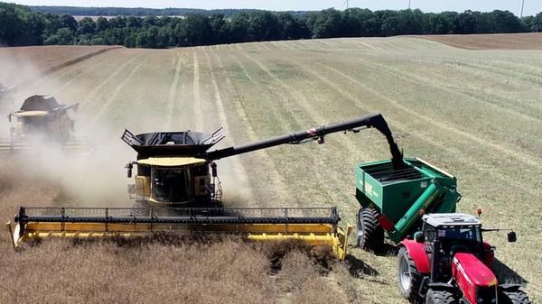 Die Landwirtschaft hingegen ächzte unter den Folgen der andauernden Sommerhitze: Während Winzer sich über einen sehr guten Jahrgang freuten, trieb viele Bauern die Sorge um ihr wirtschaftliches Überleben um.
