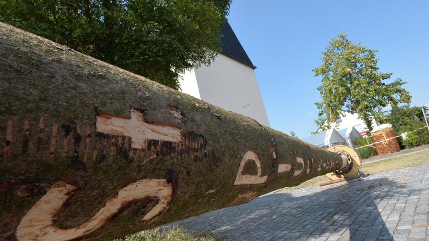 Mit Schmalz und Präzision: Kirwabaum-Aufstellen in der Hasenheide