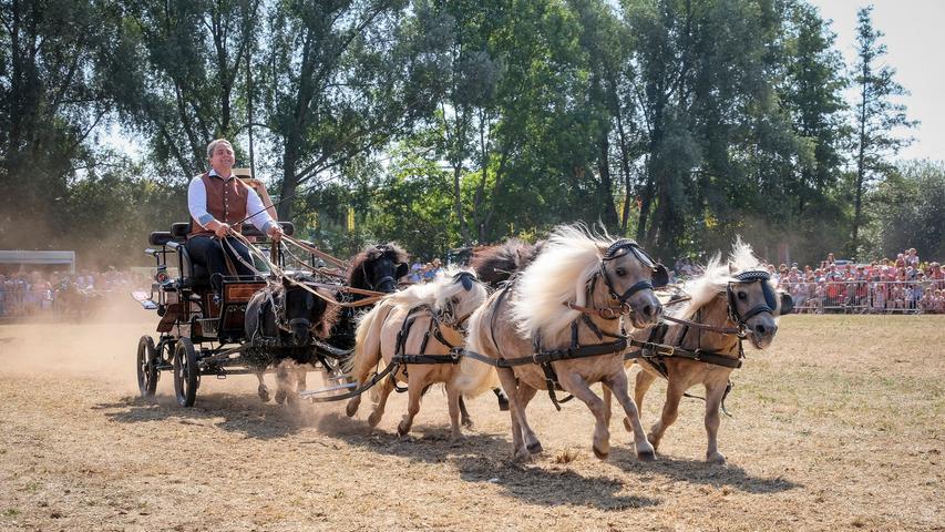 Shetties und Sonnenschein: Pferdeschau am Jura-Volksfest 2018 in Neumarkt