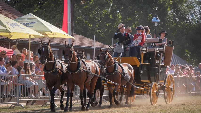 Shetties und Sonnenschein: Pferdeschau am Jura-Volksfest 2018 in Neumarkt