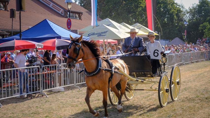 Shetties und Sonnenschein: Pferdeschau am Jura-Volksfest 2018 in Neumarkt