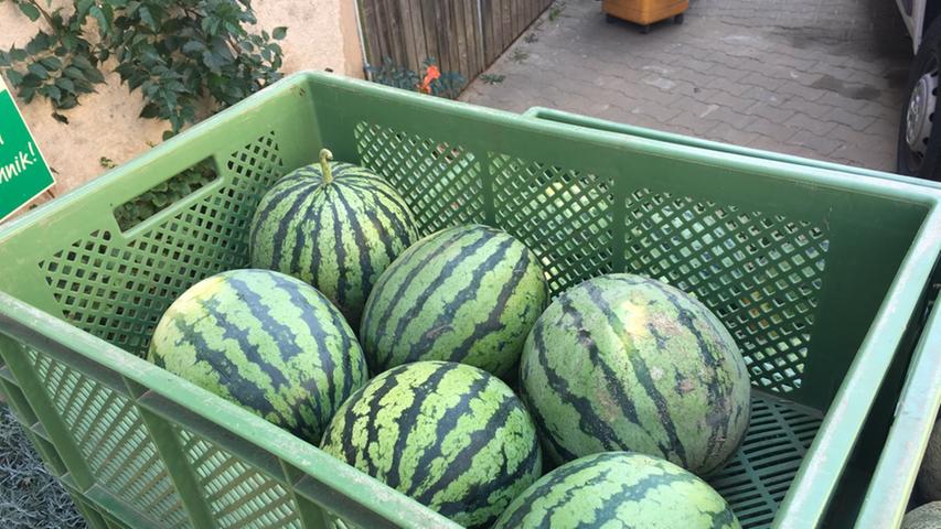 Echte fränkische Melonen sorgen in Offenbau für eine Erfrischung.