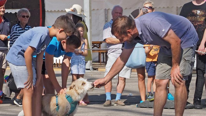 Weißenburger Kirchweih: Mitfiebern beim Hunderennen