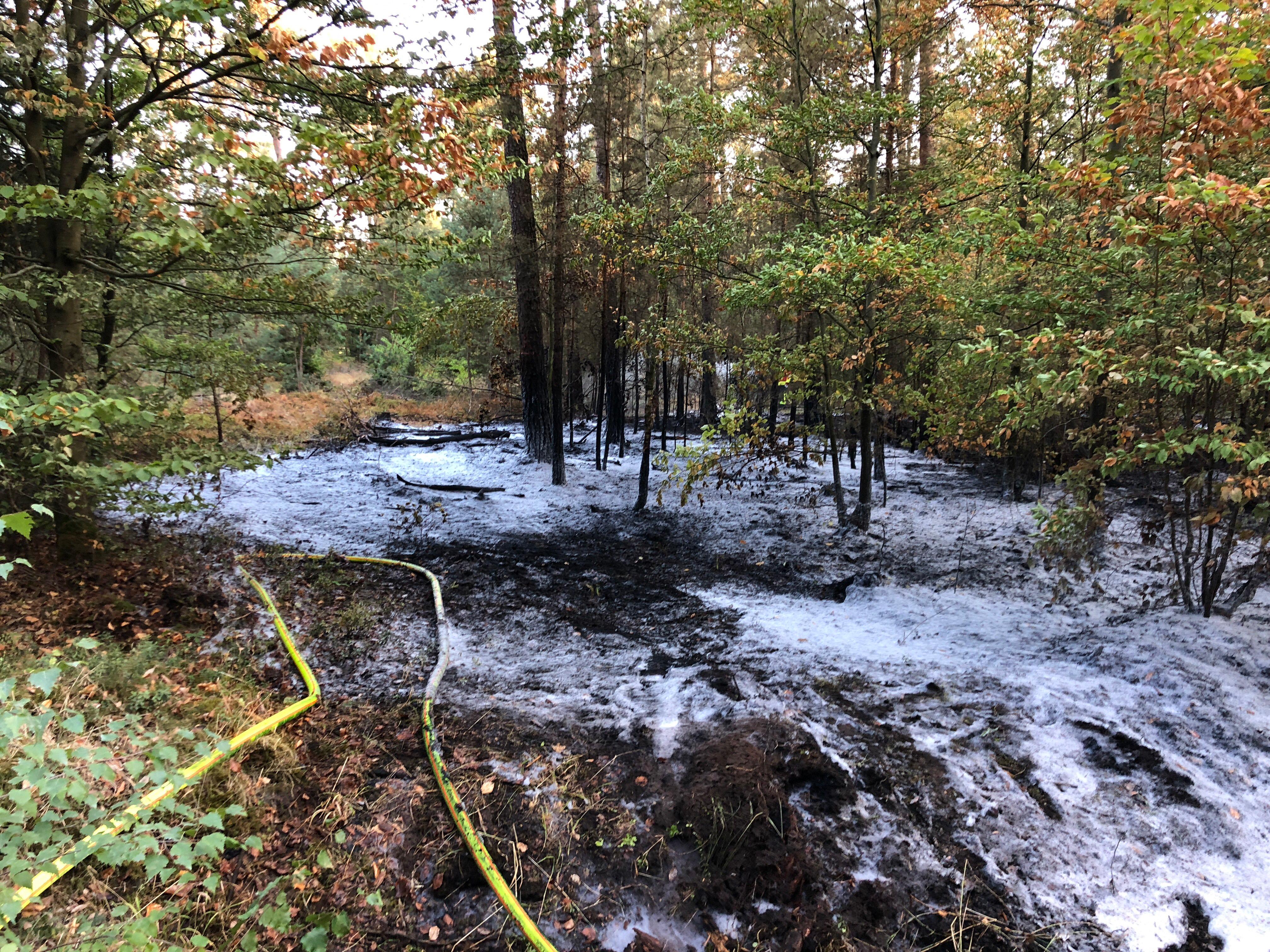 Waldbrand bei Buchenbühl: 800 Quadratmeter brannten nieder - Nürnberg