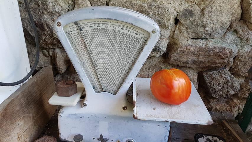 Mit stolzen 1,1 Kilo schafft es auch unser Leser Patrik mit seiner Tomate über die Kilo-Grenze. Übrigens: Coole Waage!