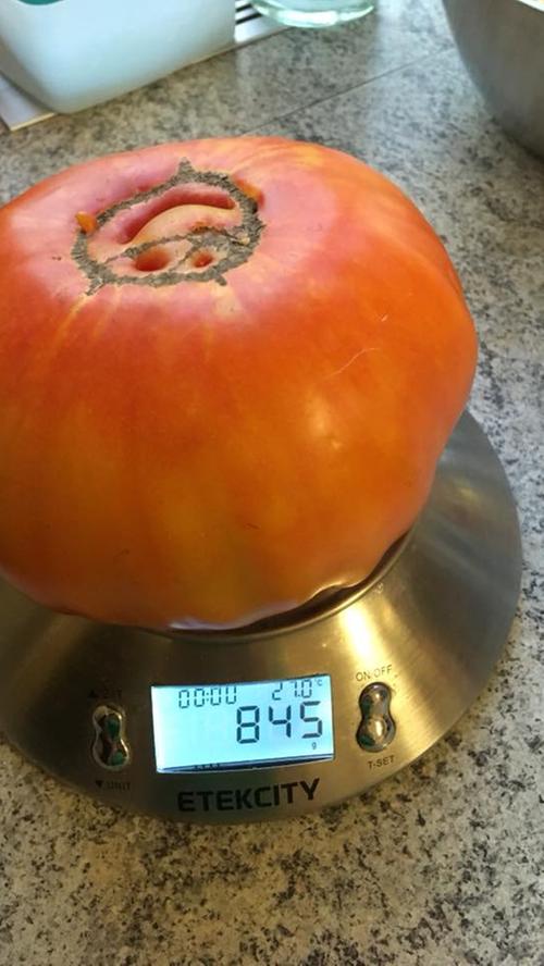 Eine Tomate mit Smiley liefert unser Leser Thomas. Sie wiegt ganze 845 Gramm.