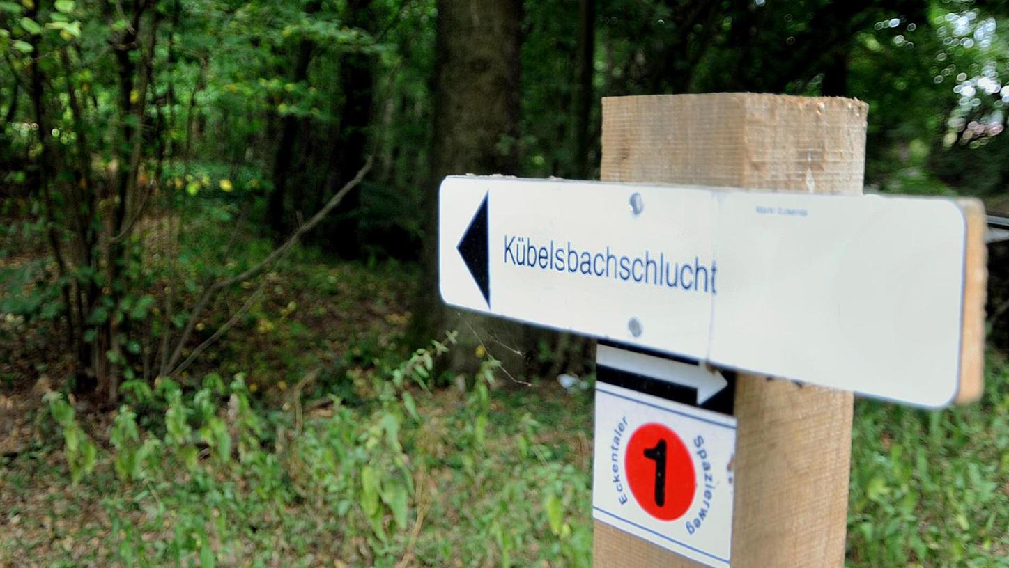 Kurz, aber reizvoll ist der Spazierweg durch die Kübelsbachschlucht, den Peter Bajus neu markiert und kartiert hat.