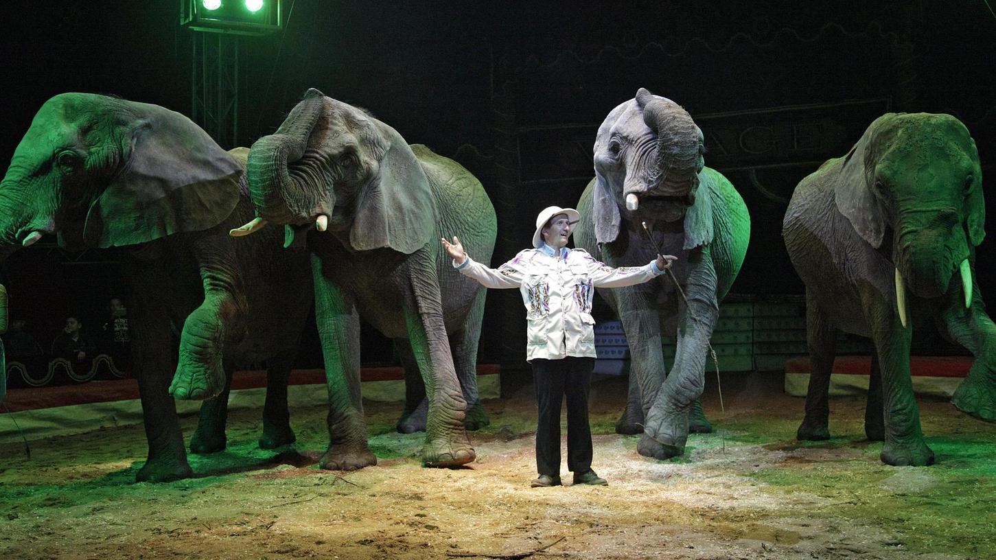 Die Elefanten müssen beim „Circus Voyage“ keine wilden Kunststücke aufführen. Dem Zirkus geht es vielmehr darum, die Tiere zu präsentieren. Damit sie sich in der Manege wohlfühlen, ist die Musik auch nicht so laut wie in anderen Zirkuszelten.