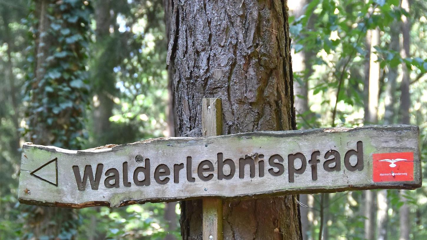 Pause vom Großstadtalltag: Fürth feiert den Stadtwald