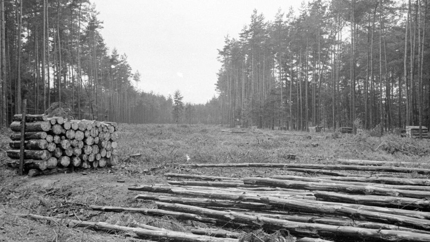 7. September 1968: Unser Wald will erst verdient sein 