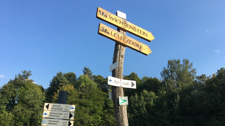 Die letzten Kilometer der heutigen Tour sind für Jo in Sicht - es geht in Richtung Leutzdorf! Und alles hier ist so schön grün. Da lacht das Wanderherz.