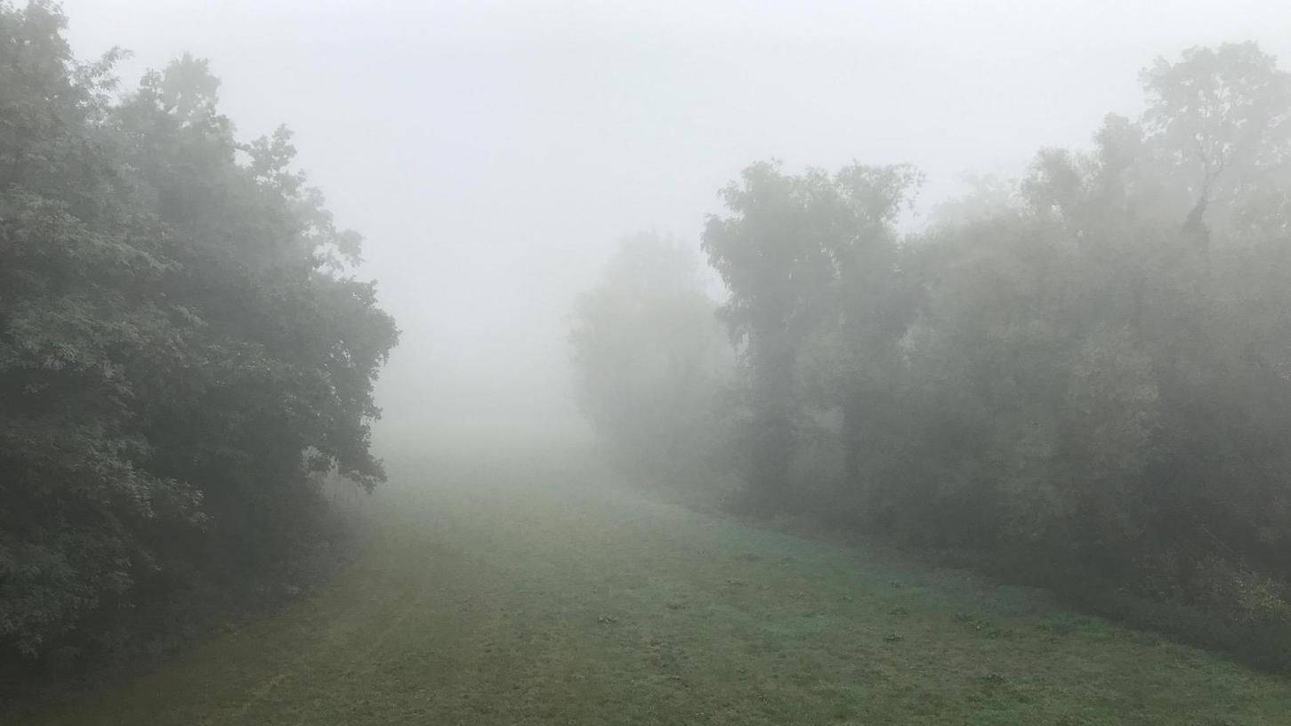So zäh hing der Nebel diese Woche vielerorts in der Landschaft, hier im Talgrund der Rednitz in Roth.