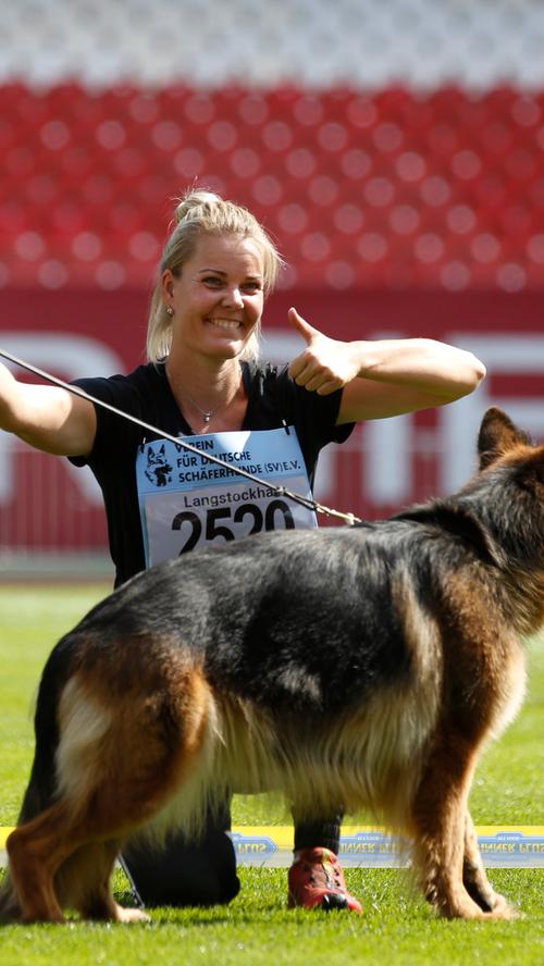Mehr als flauschig: Welt-Championat der Schäferhunde in Nürnberg