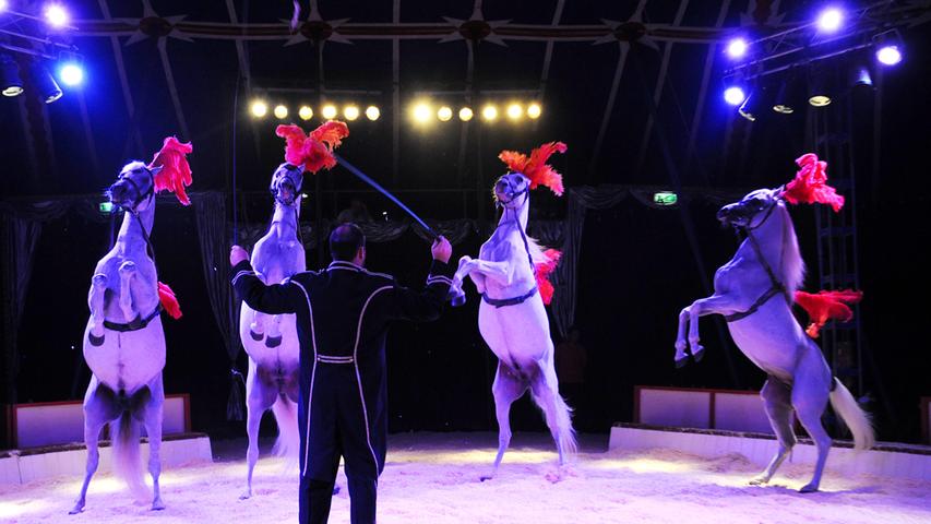 „Lachen, Träumen, Staunen“ – das verspricht der Circus Carelli, der gerade auf dem Neumarkter Volksfestplatz Station macht. Bei der Premiere verzauberte der Zirkus sein Publikum: Talentierte Hunde, Pferde, Esel und Kamele waren dabei und menschliche Akrobaten und Clowns.