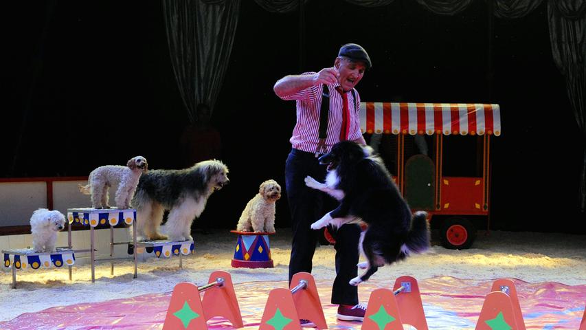 „Lachen, Träumen, Staunen“ – das verspricht der Circus Carelli, der gerade auf dem Neumarkter Volksfestplatz Station macht. Bei der Premiere verzauberte der Zirkus sein Publikum: Talentierte Hunde, Pferde, Esel und Kamele waren dabei und menschliche Akrobaten und Clowns.