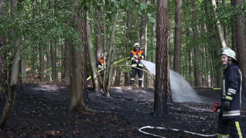 Großbrand verhindert: Feuerwehr löscht Flammen in Buchfelder Wald
