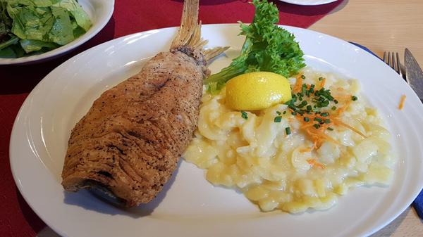 Krone (Schäfer) in ER-Hüttendorf