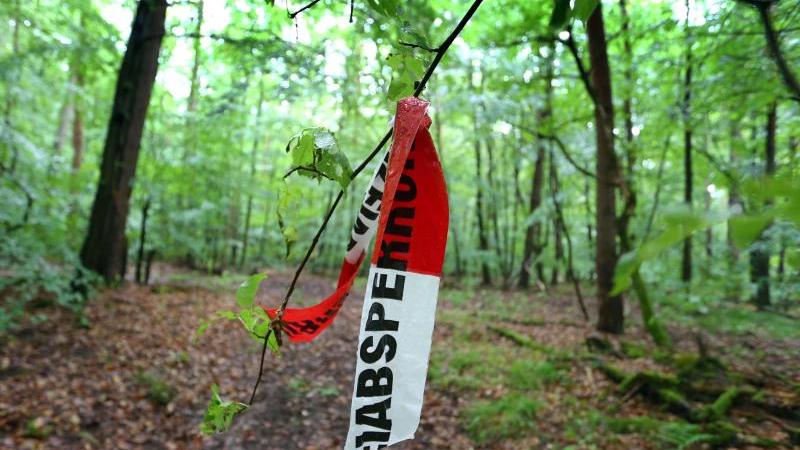 Schädel in Oberpfälzer Wald gefunden: Mann war 2010 verschwunden