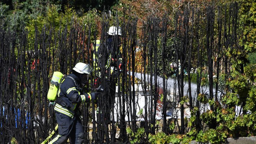 Herzogenauracher steckt Hecke des Nachbarn in Brand