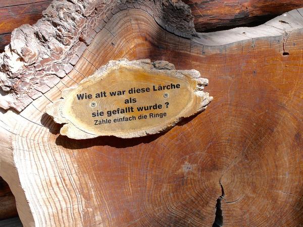 Der Reichswald in Erlangen war mal ohne Bäume