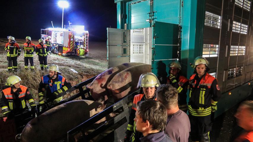 Unfall in Unterfranken: Zwei Verletzte und 30 tote Schweine