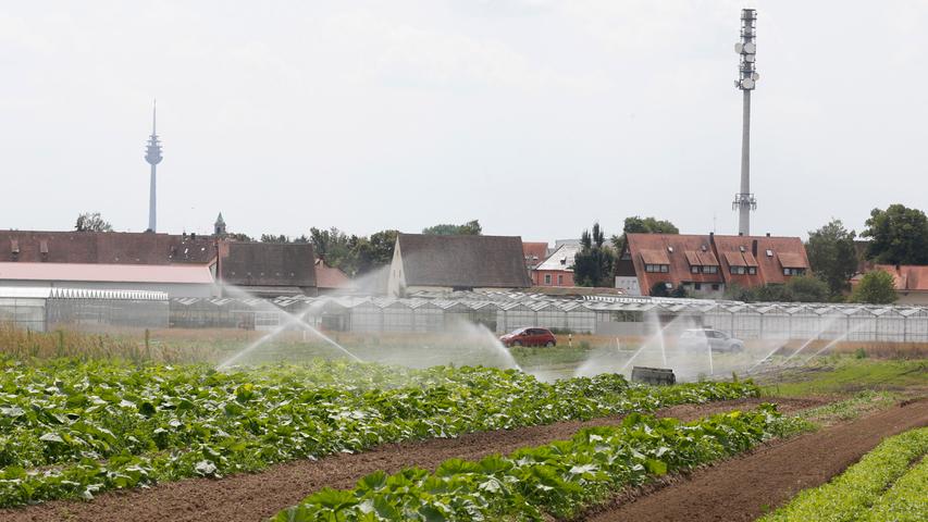 Zehn Dinge, die man über Bewässerung in Bayern wissen sollte