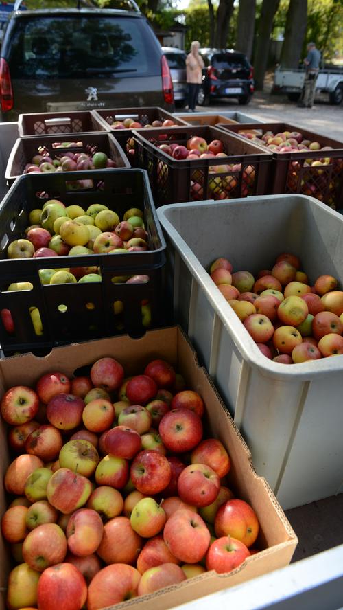 Mobile Mosterei: Herzogenauracher bekommen ihren eigenen Apfelsaft