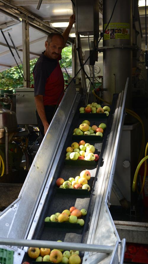 Mobile Mosterei: Herzogenauracher bekommen ihren eigenen Apfelsaft