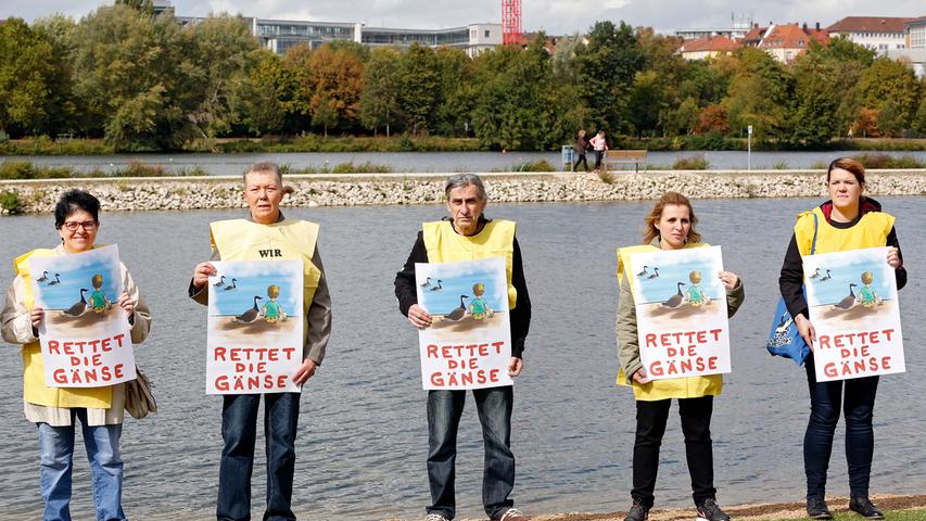 Erschossene Gänse: Tierschützer halten Mahnwache in Nürnberg ab 