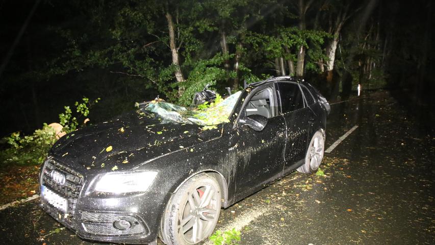 Großes Glück hatte der Fahrer dieses Wagens, als er durch ein Waldstück fuhr - und ein Baum auf seinen Audi krachte. Er blieb ... 