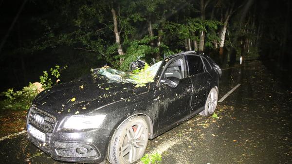 Mit Sturmböen von weit über 100 km/h und ausdauernden Regenfällen verursachte Sturmtief "Fabienne" Chaos in der Region. Zahlreiche Bäume warf der Wind auf Gleise, Autos und Stromleitungen, es herrschte, (wie auf diesem Bild aus Forchheim) Lebensgefahr.