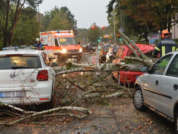In der Gebbertstraße fiel ein Baum auf zwei Fahrzeuge, eine Person wurde eingeklemmt.