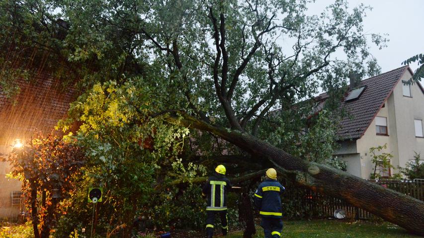 Vollalarm in Erlangen: Bäume knicken nach Sturmtief 