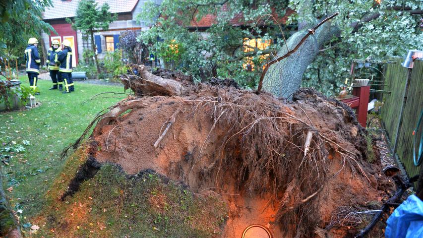 Vollalarm in Erlangen: Bäume knicken nach Sturmtief 