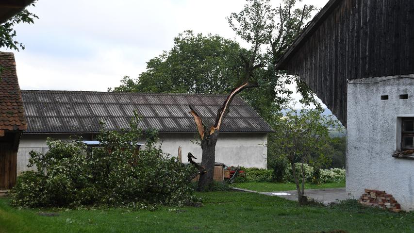 Das Sturmtief "Fabienne" hinterließ seine Spuren in der Oberpfalz. Von diesem Baum am Schafhof ist nicht mehr viel übrig.
