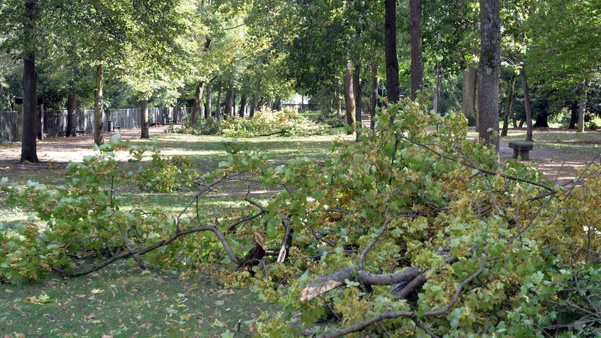 Der Boden im Schlossgarten war nach dem Sturm übersät mit Ästen und Blättern.