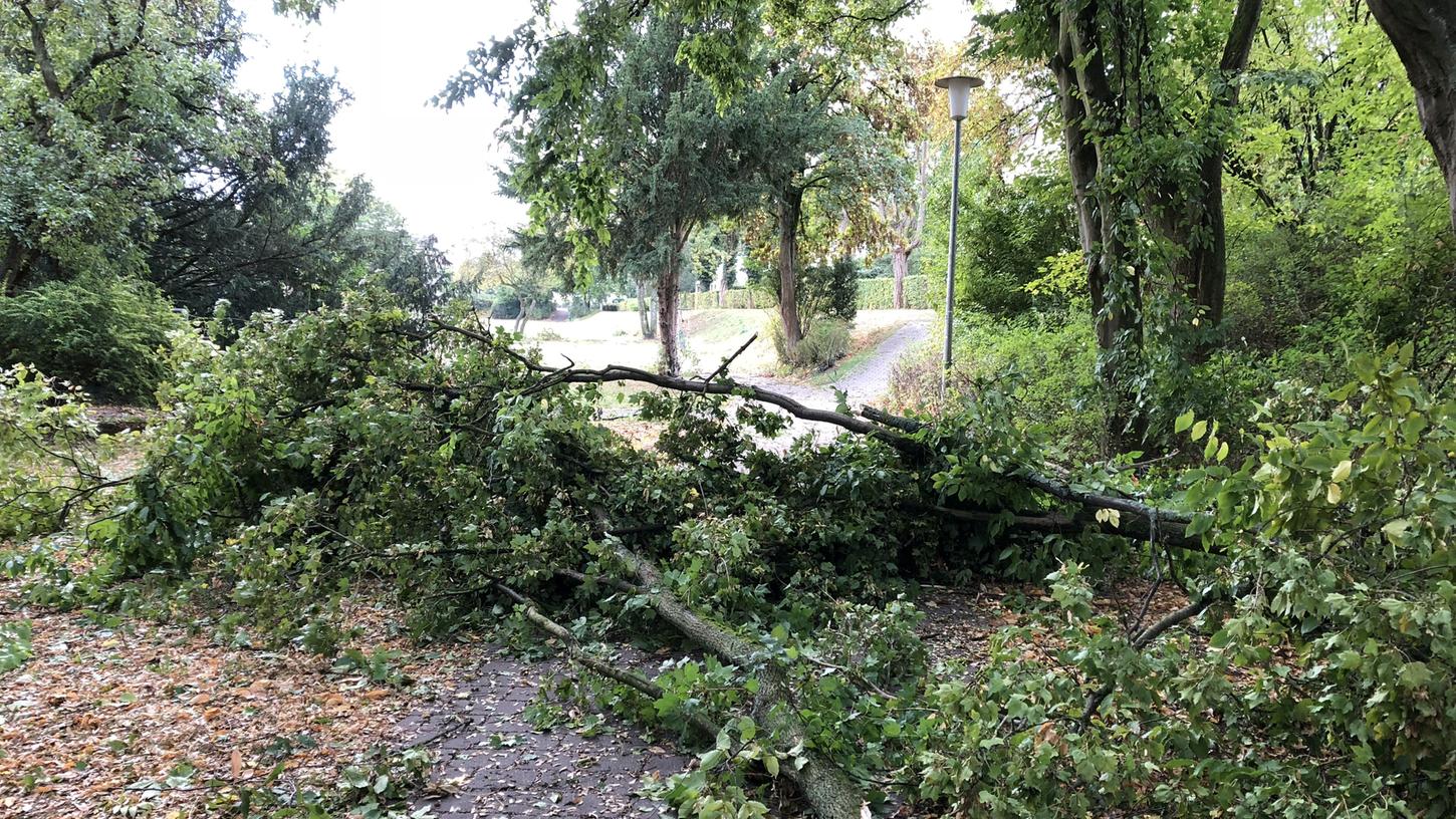 Stadtpark Forchheim wegen Sturmschäden gesperrt