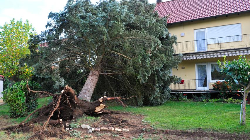 Sturm "Fabienne": Ausmaß der Schäden im Landkreis Forchheim sichtbar