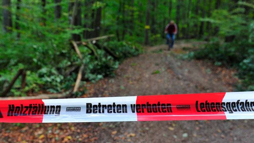 Lebensgefahr nach Sturm: Kellerwald Forchheim gesperrt