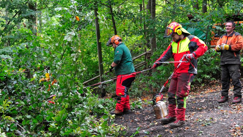 Lebensgefahr nach Sturm: Kellerwald Forchheim gesperrt