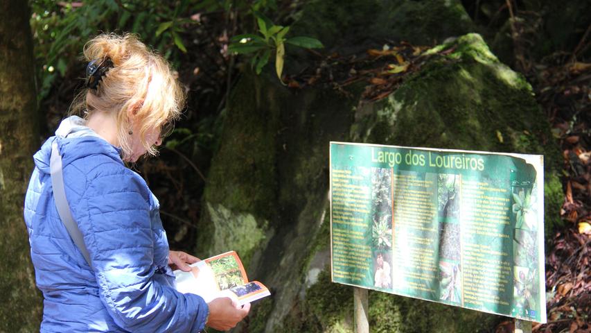 Auf der Insel gibt es zahlreiche Pflanzen und Tiere, die nur auf Madeira zu finden sind. Naturfreunde kommen hier allemal auf ihre Kosten.
