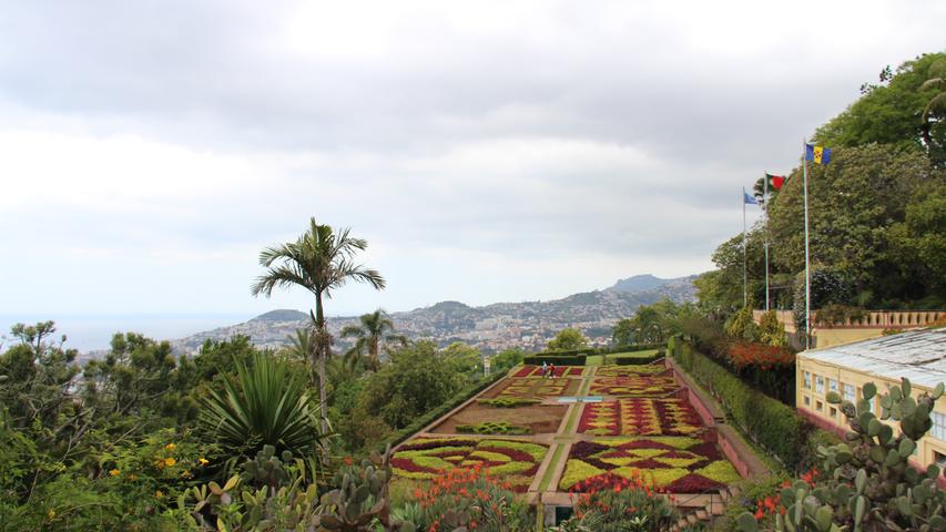 Vom Monte Palace Tropical Garden kann mit einer weiteren Gondel dir Reise direkt zum Botanischen Garten in Fuchal weitergehen.