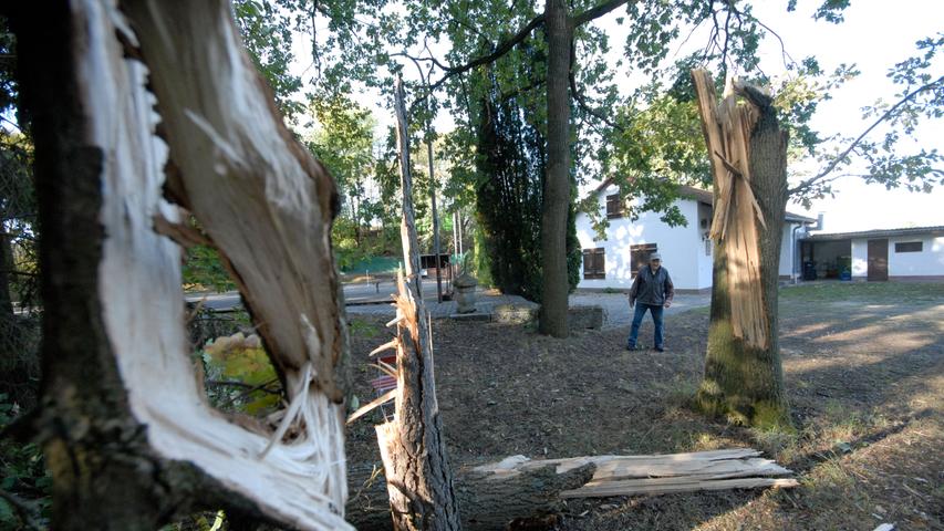 Etliche Bäume umgerissen: Sturmschaden bei den Eisstockschützen in Herzogenaurach