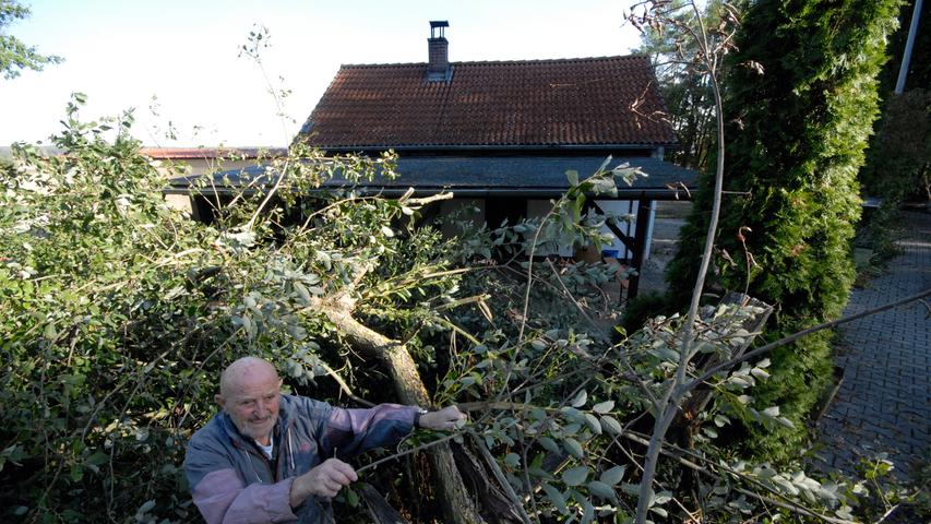 Etliche Bäume umgerissen: Sturmschaden bei den Eisstockschützen in Herzogenaurach