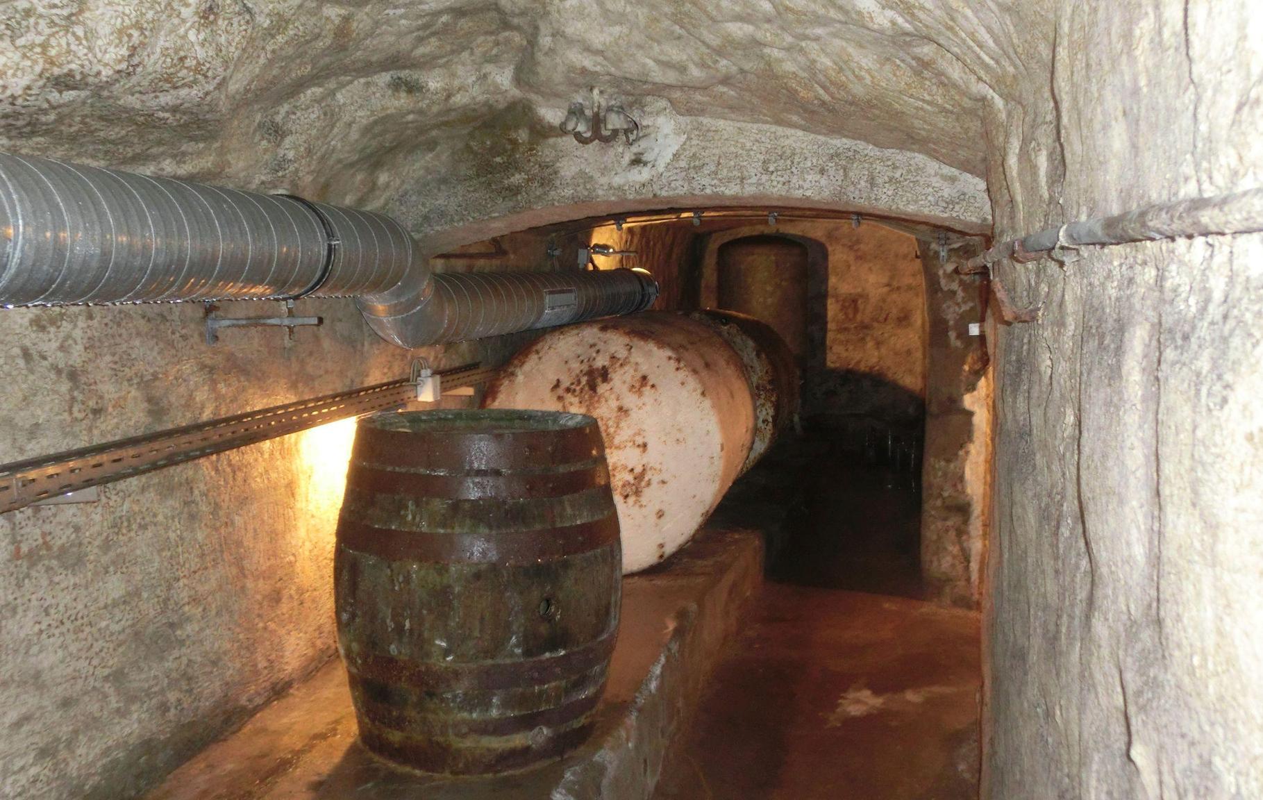 Wir haben die Keller. Darin lagern wir nicht nur unterirdisch Bier. Auf den Kellern genießen wir den Gerstensaft in der schönen Jahreszeit unter Bäumen. Der Forchheimer Kellerwald gilt als einer der größten Biergärten der Welt.