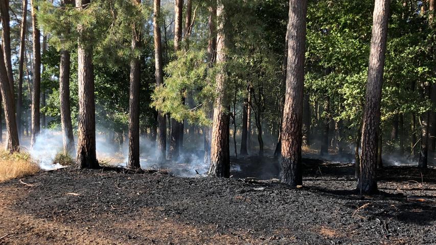 Bei Cadolzburg: 500 Quadratmeter Wald in Flammen